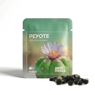 Peyote (Lophophora williamsii) 20 semillas