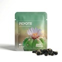 Peyote (Lophophora williamsii) 20 semillas