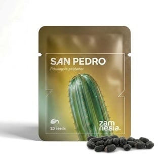 San Pedro (Echinopsis pachanoi) 20 semillas
