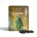 San Pedro (Echinopsis pachanoi) 20 semillas