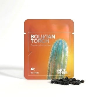 Antorcha Boliviana (Echinopsis lageniformis) 20 semillas