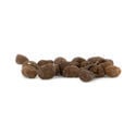 Tabaco (Nicotiana tabacum) 20 semillas