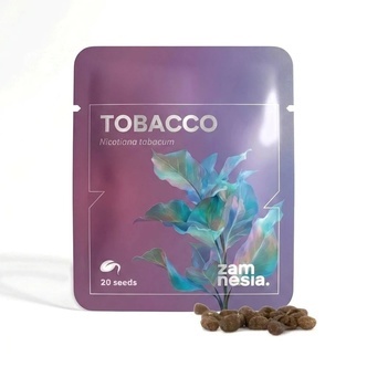 Tabaco (Nicotiana tabacum) 20 semillas