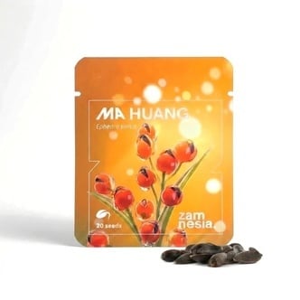 Ma Huang Semillas (Ephedra sinica) 20 Semillas