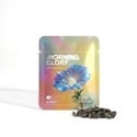 Morning Glory Seeds (Ipomoea tricolor) 10g