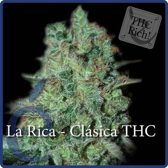 La Rica Classic THC (Elite Seeds) feminizada