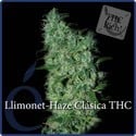 Llimonet Haze Classic THC (Elite Seeds) feminizada
