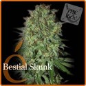 Bestial Skunk (Elite Seeds) feminizada