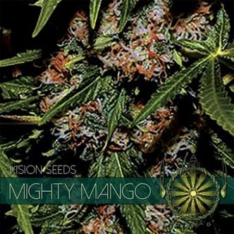 Mighty Mango Bud (Vision Seeds) feminizada