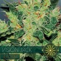 Vision Jack Autofloreciente (Vision Seeds) feminizada