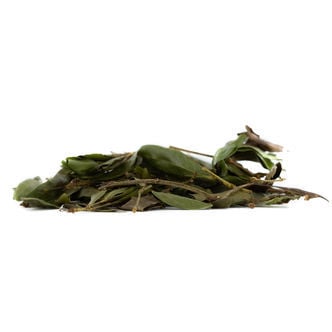 Bobinsana (Calliandra angustifolia) 20 gramos