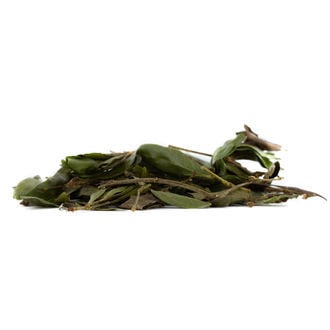 Bobinsana (Calliandra angustifolia) 20 gramos