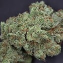 Ghost Train Haze 1 (Rare Dankness)