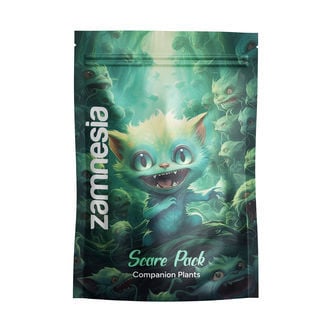 Buddy Mix Pack SCARE