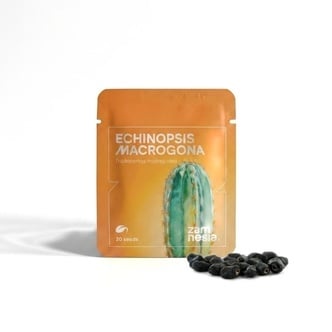 Echinopsis macrogona (Trichocereus macrogonus) 20 semillas