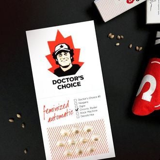 Chronic Ryder Auto (Doctor's Choice) feminizada