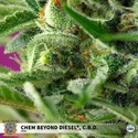 Chem Beyond Diesel CBD (Sweet Seeds) feminizada