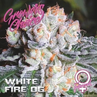 White Fire OG (Growers Choice) Feminizada