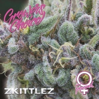 Zkittlez (Growers Choice) feminized