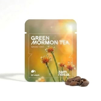 Green Mormon Tea Seeds (Ephedra viridis) 20 Semillas