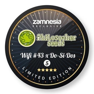 Wifi 43 x Do-Si-Dos (Philosopher Seeds x Zamnesia) feminizada