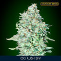 OG Kush SFV (Advanced Seeds) feminizada