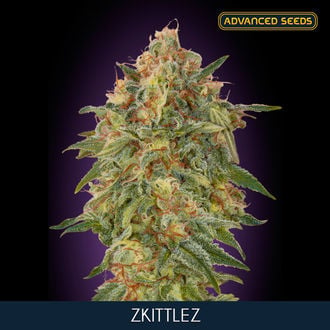 Zkittlez (Advanced Seeds) feminizada