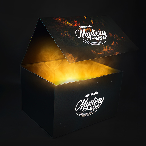 Caja Misteriosa de Cannabis (Zamnesia)