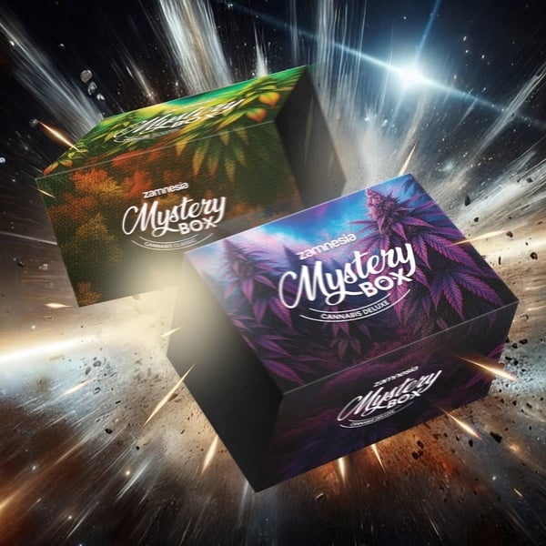 Caja Misteriosa de Cannabis (Zamnesia)