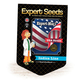 Expert Mac1 (Expert Seeds) feminizada