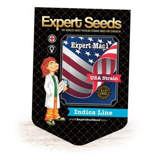 Expert Mac1 (Expert Seeds) feminizada