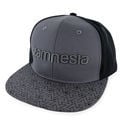 Gorra Zamnesia Gris Con Ajuste Trasero