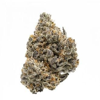 Rainbow Runtz (Growers Choice) feminizada