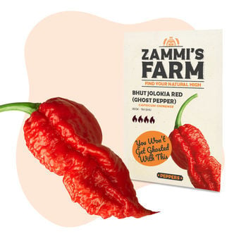 Semillas De Bhut Jolokia (Chile Fantasma)