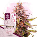 Pink Rozay (Zamnesia Seeds) feminizada