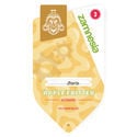 Apple Fritter Automatic (Zamnesia Seeds) feminizada