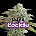 Dark Cookie (Dr. Underground) feminizada