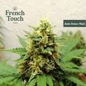 Auto Douce Nuit (French Touch Seeds) feminizada