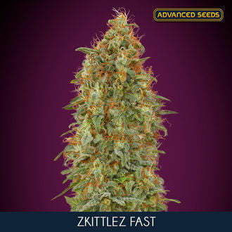 Zkittlez Fast (Advanced Seeds) feminizada