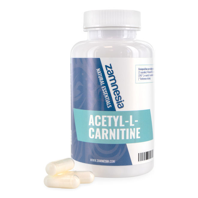Acetil-L-Carnitina y Vitamina B12 (cápsulas)