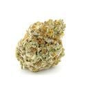 Forbidden Runtz (Growers Choice) feminizada