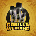 Gorilla Wedding (BSF Seeds x Zamnesia Seeds) feminizada