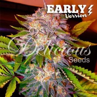 Caramelo - Early Version (Delicious Seeds) feminizada