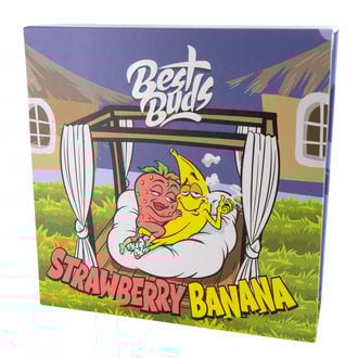 Cenicero de cristal (Best Buds)