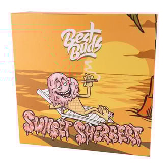 Cenicero de cristal (Best Buds)