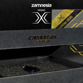 X (Zamnesia Seeds) Feminizada