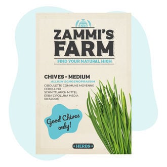 Cebollino (Allium schoenoprasum)