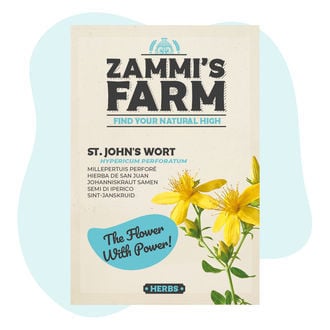 Semillas de hierba de San Juan (Hypericum perforatum)