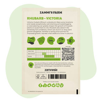 Semillas de ruibarbo Victoria (Rheum undulatum)