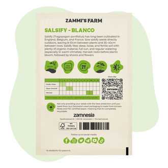 Semillas de salsifí 'blanco' (Tragopogon porrifolius)